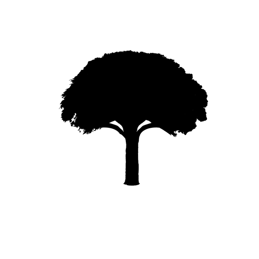 Estro-Fend